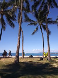 People by palm trees on beach against sky