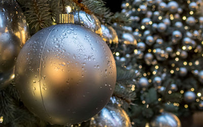 Close-up of christmas tree