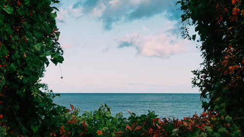 Scenic view of sea against sky