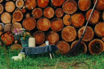 Stack of logs in forest