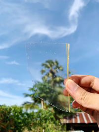 Close-up of hand holding plant against sky