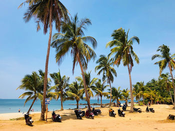 Palm trees on beach against sky