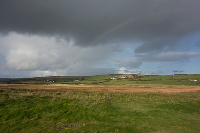 Scenic view of field against rainbow in sky