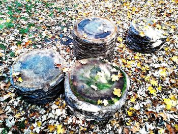 High angle view of field