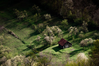 House on field