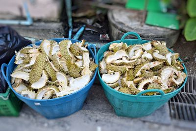 High angle view of fish in container