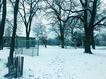 Bare trees on snow covered field