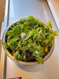 High angle view of vegetables in bowl on table