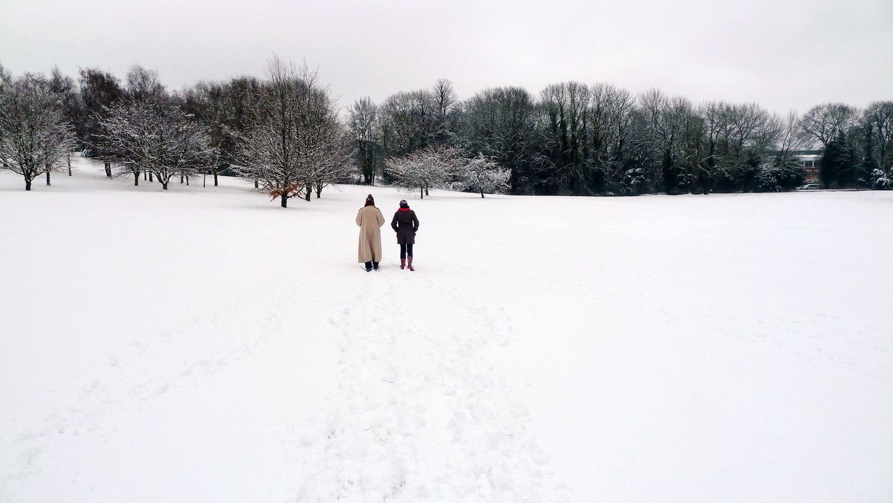 Snow covered landscape