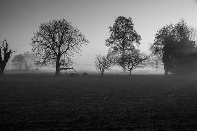 Trees on field against sky