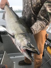 Close-up of hand holding fish