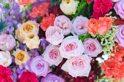 Full frame shot of roses