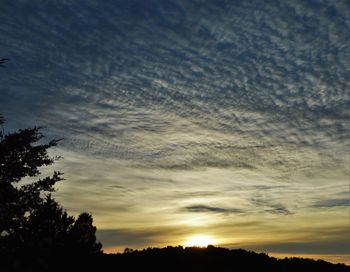Low angle view of silhouette trees against sky