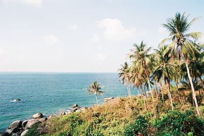sea