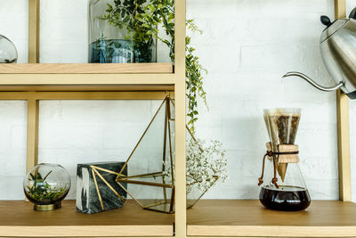 Potted plants on table at home