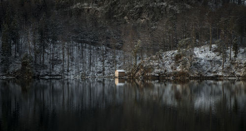 Scenic view of lake by trees