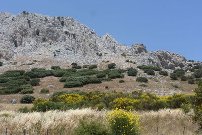 Scenic view of land against clear sky