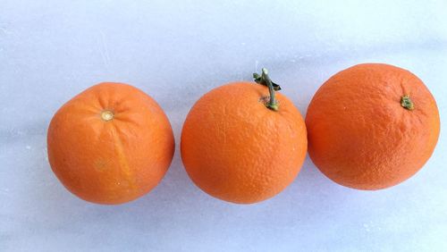 Close-up of orange fruit against white background