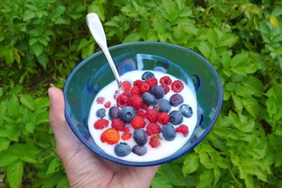 Cropped image of person holding breakfast served in bowl