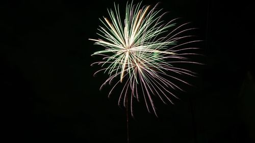 Low angle view of fireworks in sky at night