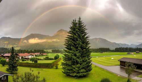 Scenic view of field against rainbow in sky