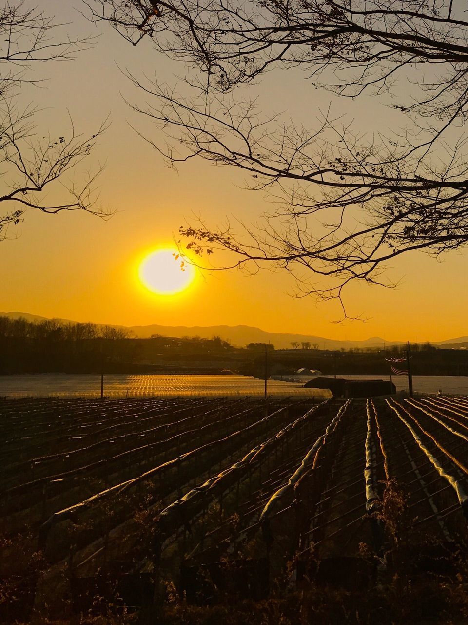 sunset, sun, tranquility, scenics, beauty in nature, outdoors, tranquil scene, nature, no people, sky, water, day