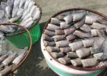 High angle view of fish for sale in basket