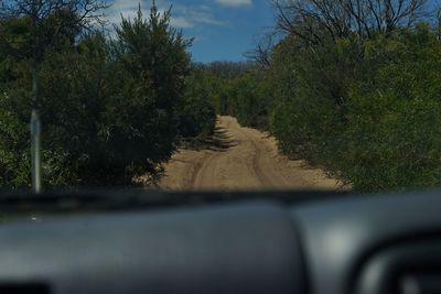 Road amidst trees against sky seen through car windshield