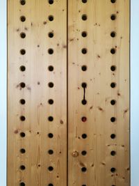 Close-up view of leaf