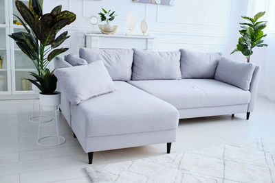 A gray sofa and flowerpots stand in the middle of stylish room