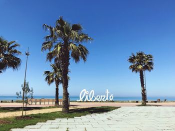Palm trees on beach against clear blue sky