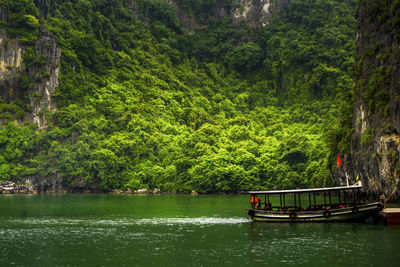 Scenic view of trees on landscape