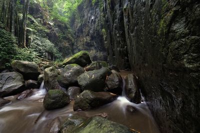 Water flowing through rocks in forest