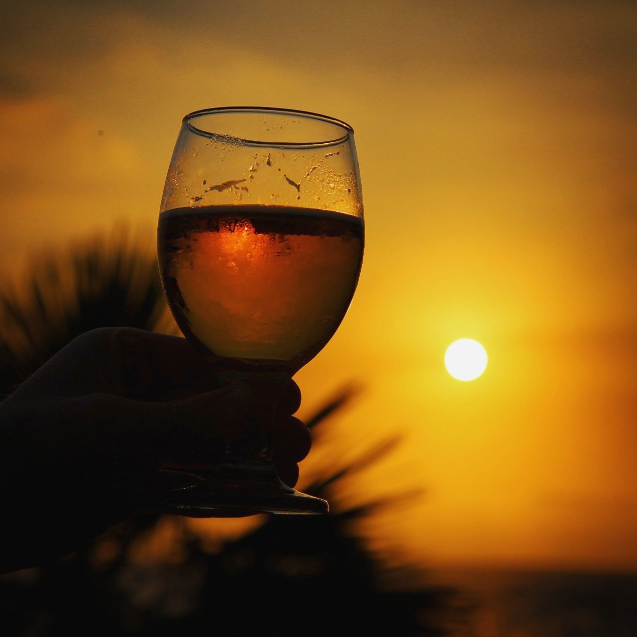 sunset, drink, alcohol, sun, refreshment, drinking glass, food and drink, wineglass, sky, close-up, outdoors, no people, wine, freshness, water, nature, beauty in nature, day