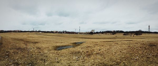 Scenic view of field against sky
