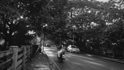 Vehicles on road amidst trees in city