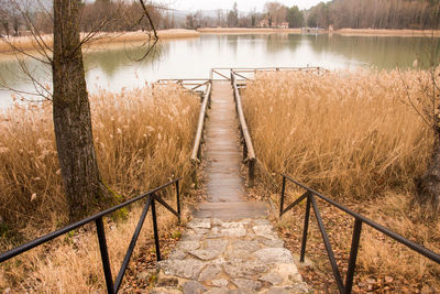 Footbridge over lake in forest