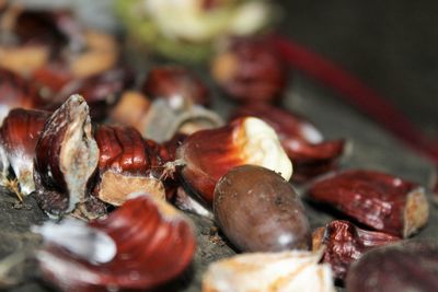 Close-up of horse chestnuts 