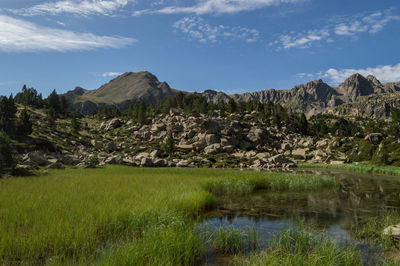 Scenic view of landscape against sky