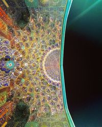 Close-up of multi colored leaf