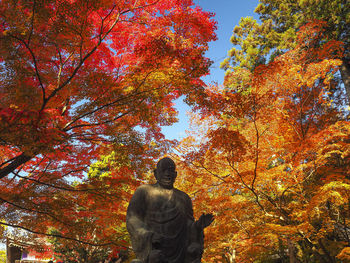 Low angle view of statue against trees during autumn