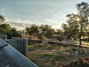 Road in park against sky