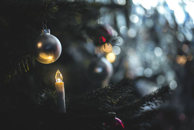 Close-up of christmas tree at night