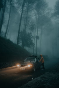 Car on road by trees in forest