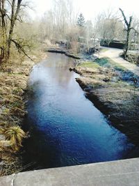 Scenic view of river amidst trees