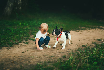 Girl with dog on land