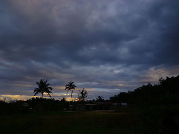 Silhouette palm trees against sky during sunset