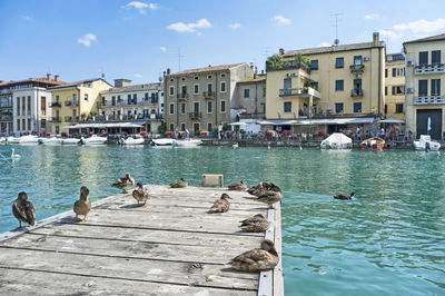 10, july, 2019 - peschiera del garda, italy the beautiful historical city center. 