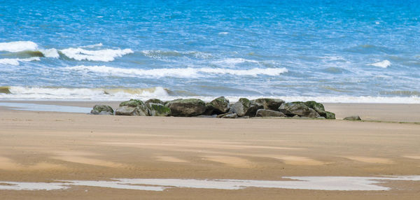 Scenic view of beach against sky