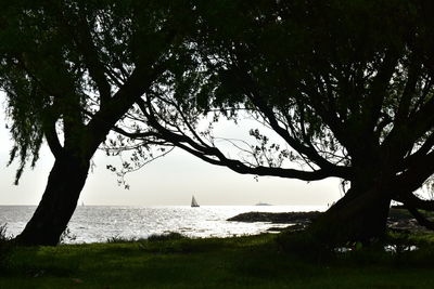 Scenic view of sea against sky